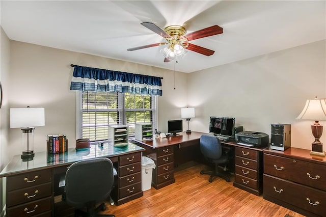 office space with light hardwood / wood-style flooring and ceiling fan