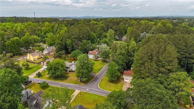 bird's eye view of a forest