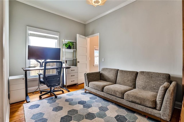 office area featuring crown molding and wood finished floors