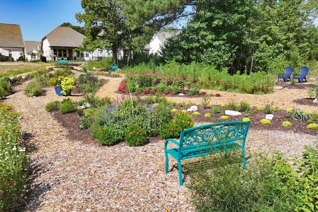 310 Chatuge Dr, Hoschton, GA 30548 - view of home's community
