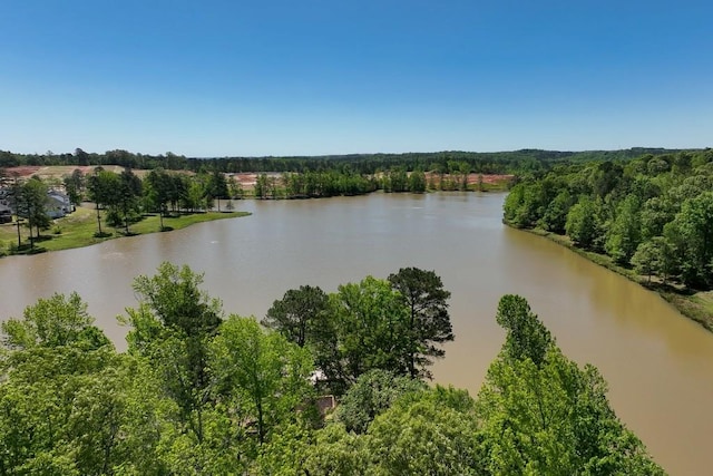 310 Chatuge Dr, Hoschton, GA 30548 - water view with a heavily wooded area