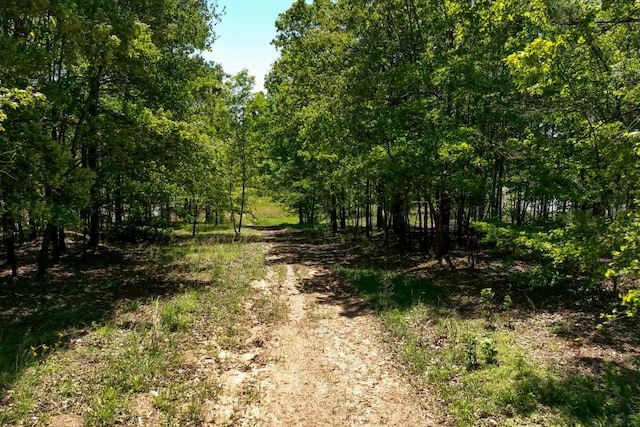 310 Chatuge Dr, Hoschton, GA 30548 - view of street featuring a forest view
