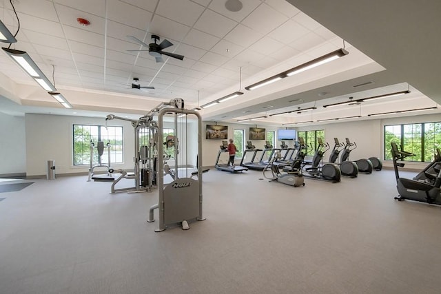 310 Chatuge Dr, Hoschton, GA 30548 - workout area with healthy amount of natural light, a raised ceiling, a ceiling fan, and a drop ceiling