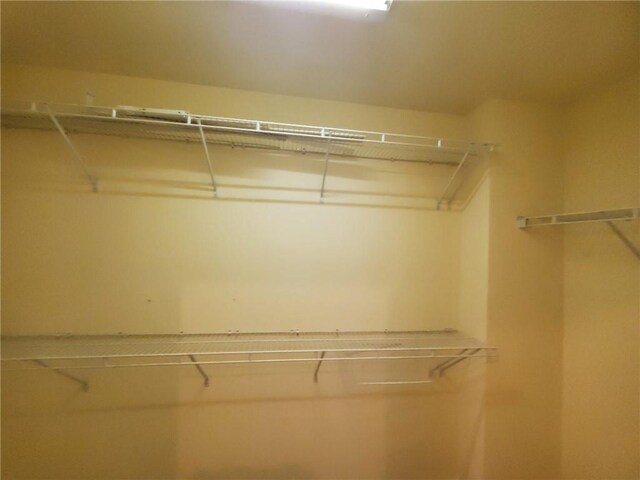 4215 Wildener Way, Cumming, GA 30041 - view of walk in closet