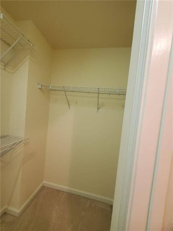 4215 Wildener Way, Cumming, GA 30041 - walk in closet featuring light carpet