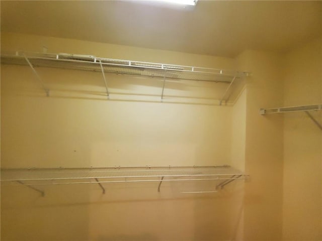 4215 Wildener Way, Cumming, GA 30041 - view of walk in closet