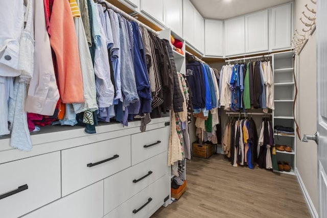 spacious closet with light wood finished floors