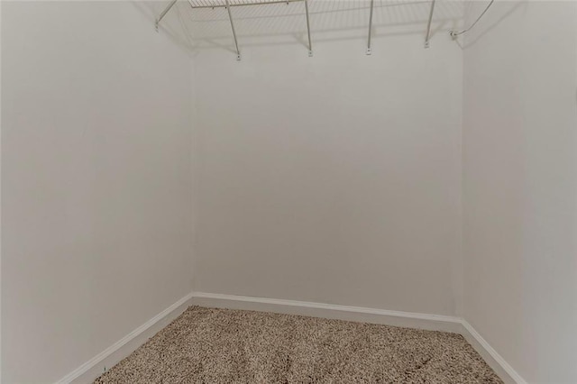 walk in closet with light carpet