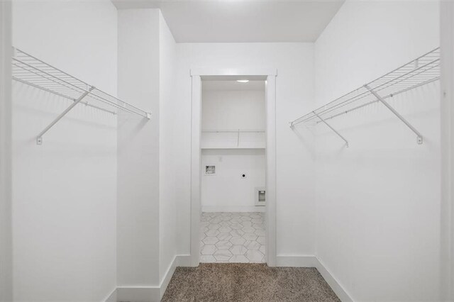 spacious closet with carpet