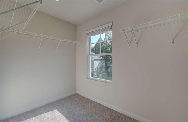 spacious closet with carpet flooring