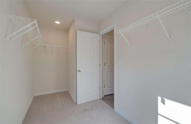 spacious closet with light carpet