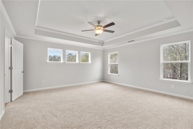 373 Riverwood Pass, Dallas, GA 30157 - unfurnished room featuring a tray ceiling, ornamental molding, ceiling fan, light carpet, and baseboards