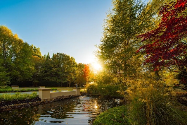 view of water feature