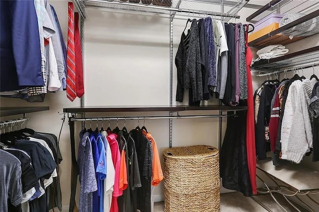 view of spacious closet