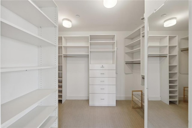 spacious closet with light carpet