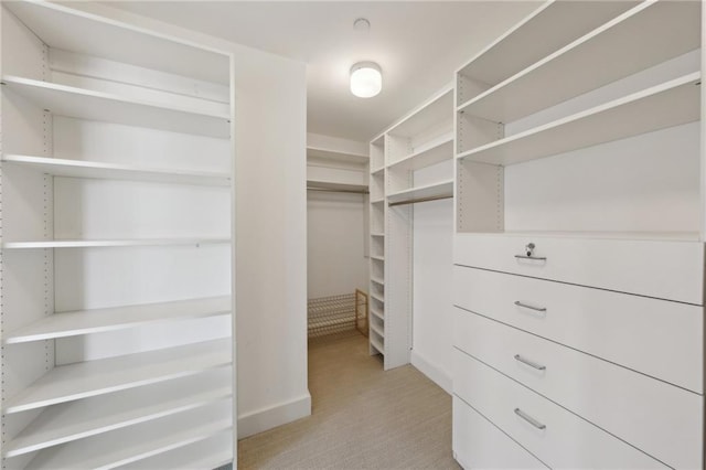 spacious closet featuring light carpet