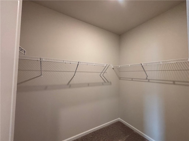 spacious closet with dark colored carpet