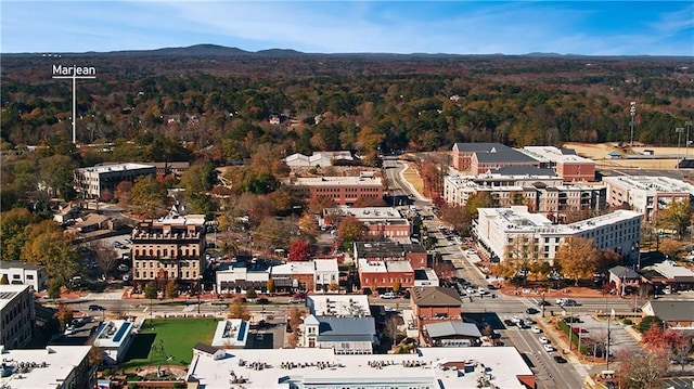 aerial view of a mountain backdrop and a heavily wooded area