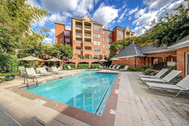 view of pool with a patio area