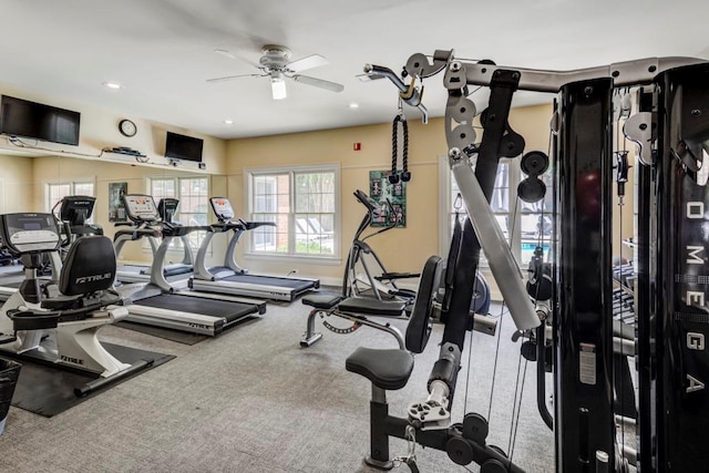 gym featuring ceiling fan and carpet