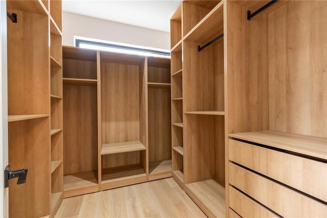 spacious closet featuring light wood-type flooring