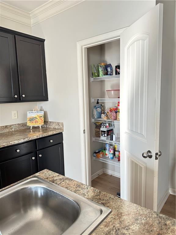 302 Turtle Creek Dr, Winder, GA 30680 - view of pantry