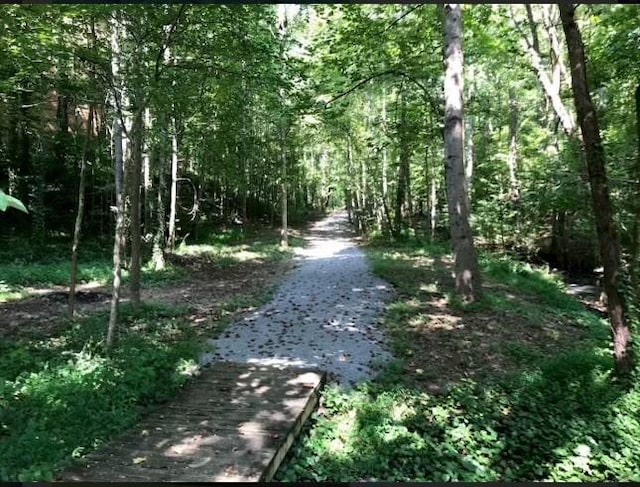 5396 Turnbill Pt NW, Acworth, GA 30101 - view of street featuring a forest view