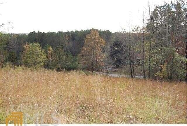 Listing photo 3 for 1200 Roy Brown Rd, Buchanan GA 30113