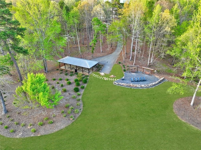 13 Clearwater Ct, Hoschton, GA 30548 - view of green lawn with an outbuilding