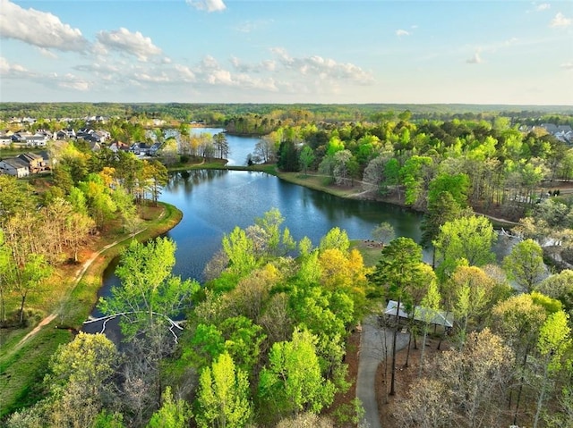 13 Clearwater Ct, Hoschton, GA 30548 - aerial view of a nearby body of water