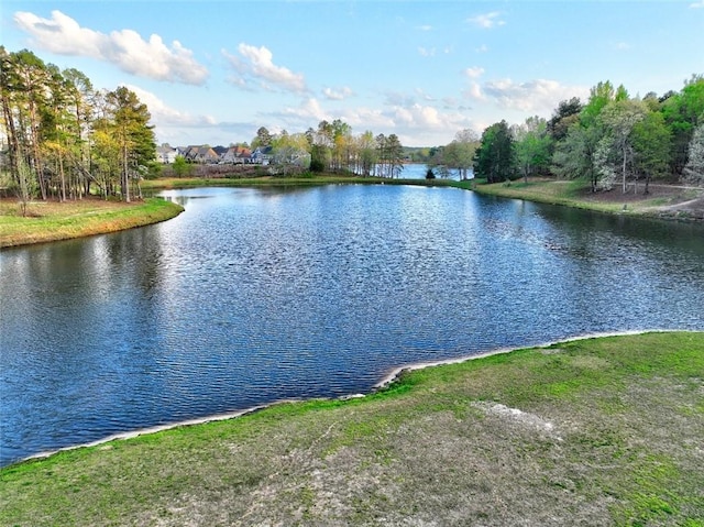 13 Clearwater Ct, Hoschton, GA 30548 - water view
