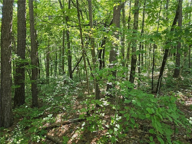 0 Lawson Federal Rd, Ball Ground, GA 30107