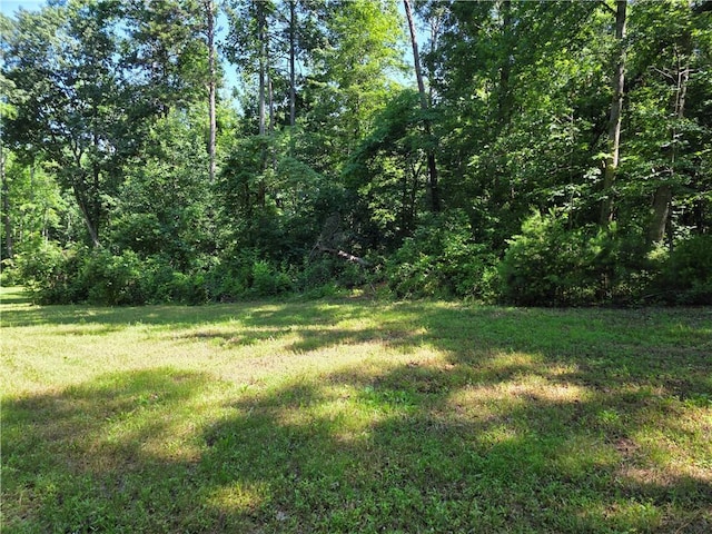 0 Lawson Federal Rd, Ball Ground, GA 30107