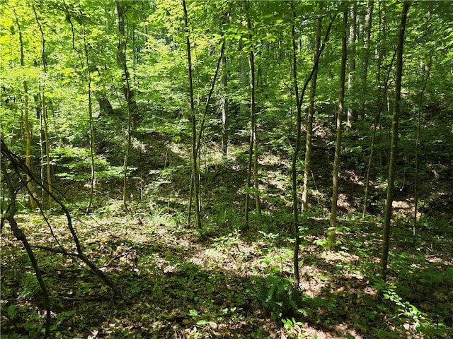 0 Lawson Federal Rd, Ball Ground, GA 30107