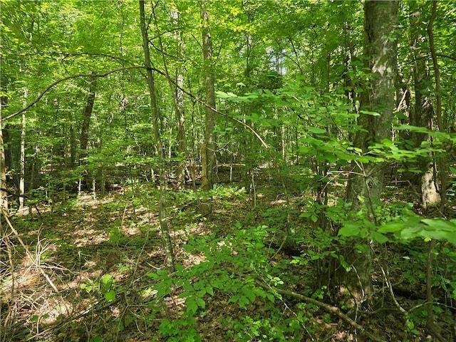 0 Lawson Federal Rd, Ball Ground, GA 30107
