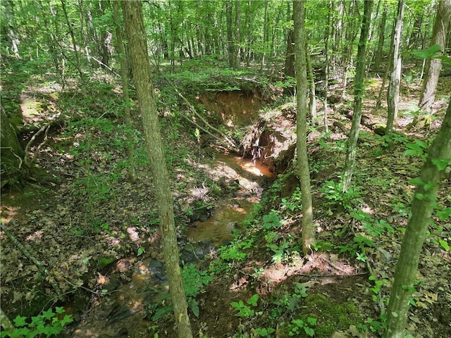 0 Lawson Federal Rd, Ball Ground, GA 30107