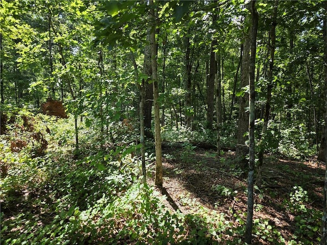 0 Lawson Federal Rd, Ball Ground, GA 30107