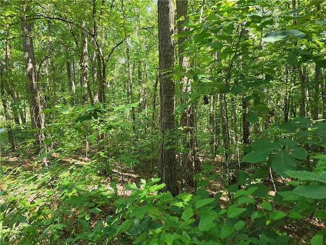 0 Lawson Federal Rd, Ball Ground, GA 30107