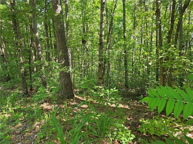 0 Lawson Federal Rd, Ball Ground, GA 30107