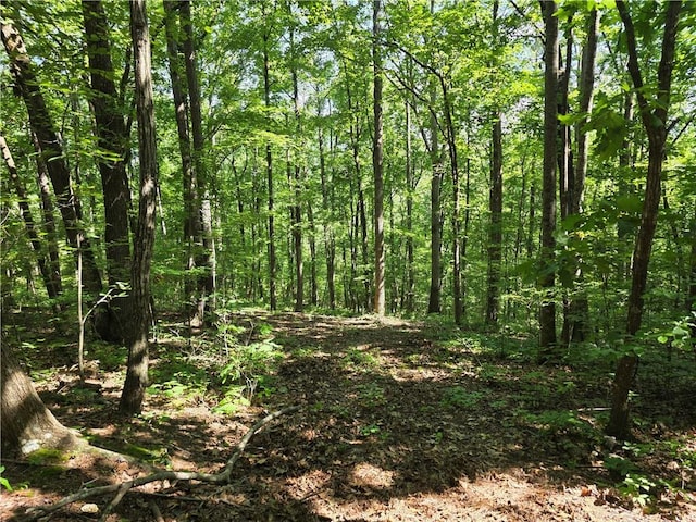 0 Lawson Federal Rd, Ball Ground, GA 30107
