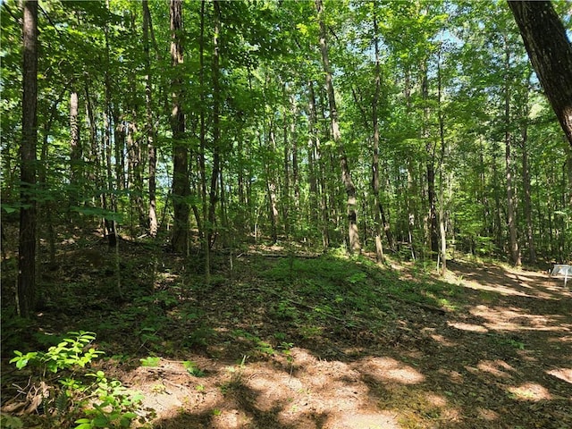 0 Lawson Federal Rd, Ball Ground, GA 30107
