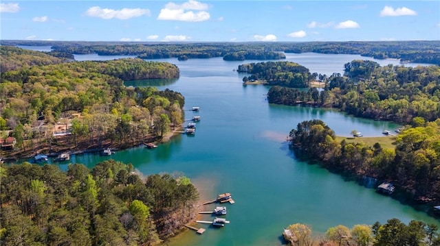 3578 Hope Rd, Cumming, GA 30041 - aerial view with a water view and a forest view