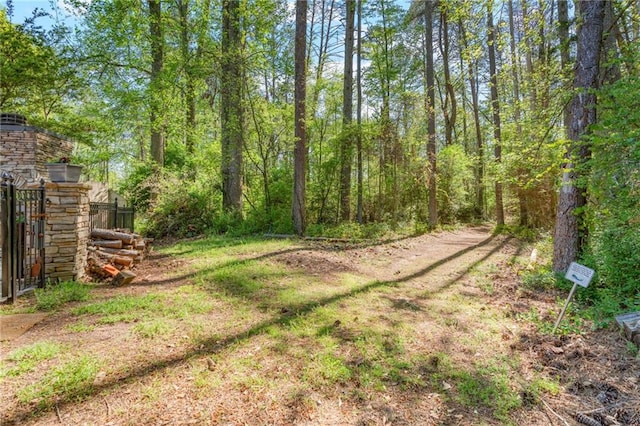 3578 Hope Rd, Cumming, GA 30041 - view of yard