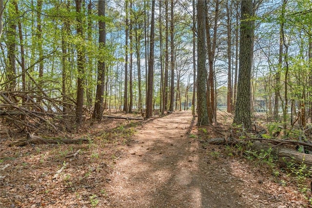 3578 Hope Rd, Cumming, GA 30041 - view of street