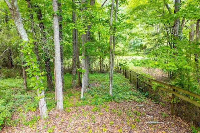 3187 Oak Grove Church Rd, Carrollton, GA 30117 - view of wooded area