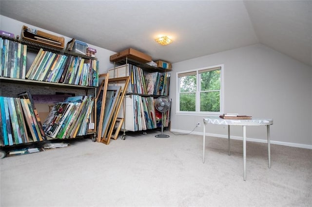 3187 Oak Grove Church Rd, Carrollton, GA 30117 - spacious closet featuring carpet and vaulted ceiling