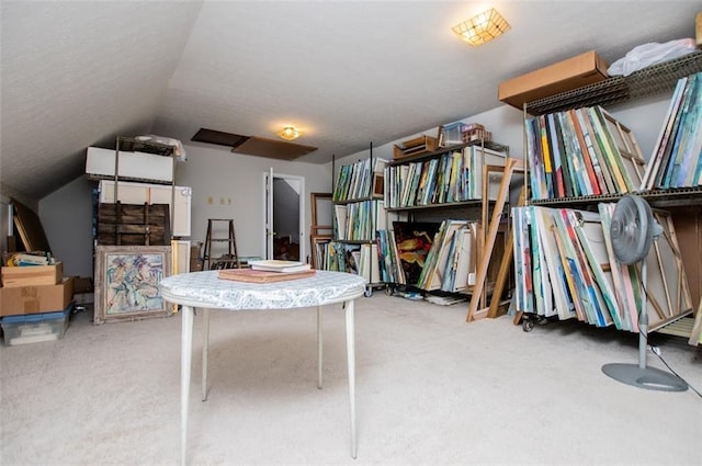 3187 Oak Grove Church Rd, Carrollton, GA 30117 - interior space with carpet floors and lofted ceiling