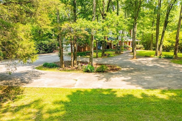 3187 Oak Grove Church Rd, Carrollton, GA 30117 - view of community featuring a lawn and curved driveway