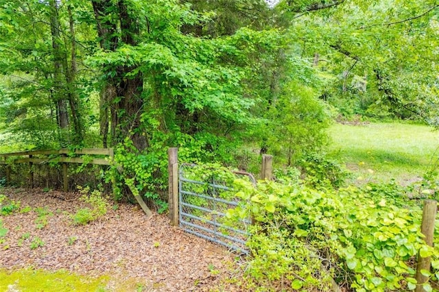 3187 Oak Grove Church Rd, Carrollton, GA 30117 - view of yard with a forest view