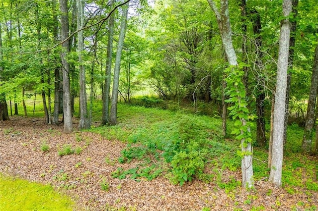 3187 Oak Grove Church Rd, Carrollton, GA 30117 - view of woods